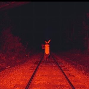 Meet your Posher, Tripppy